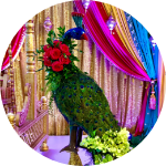 Peacock Decoration Piece